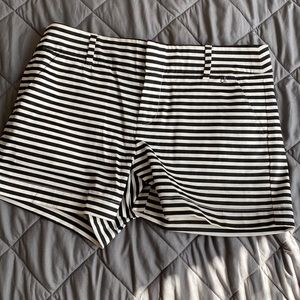 Calvin dress shorts